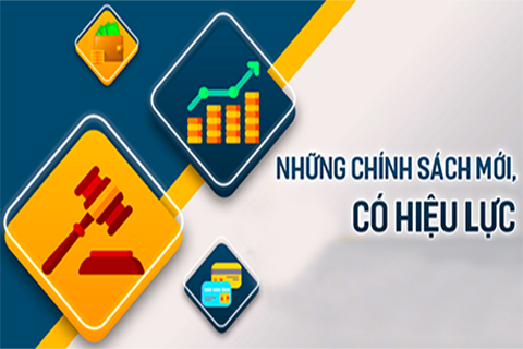 Chế độ chính sách mới